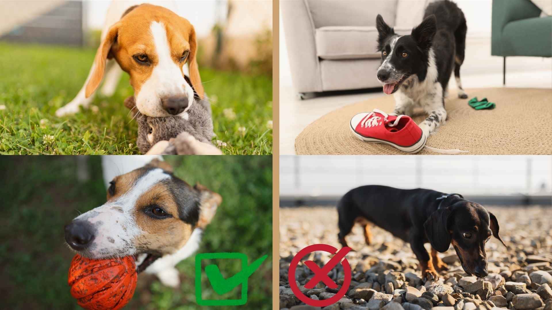 Juguetes peligrosos para perros